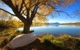 озеро, дерево, осень, лодка