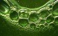 зелень, отражение, пузыри