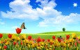 небо, цветы, природа, лето, тюльпаны, бабочки