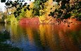 река, природа, осень