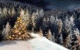 ночь, снег, новый год, елка, лес, зима, елки, праздник, рождество