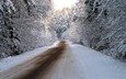 дорога, деревья, снег, природа, лес, зима, зимние обои, фотографии, дороги