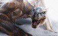 снег, дракон, зубы, monster hunter 2