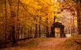 деревья, лес, листья, осень, арка