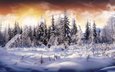 небо, снег, лес, зима, цвет, елки
