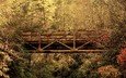 лес, листья, мост, осень, южная каролина