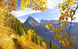 горы, природа, лес, осень, желтая листва