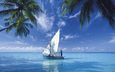 небо, облака, море, парусник, пальмы, океан, парусная лодка