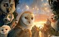 сова, легенды ночных стражей, legend of the guardians: the owls of ga’hoole, совы