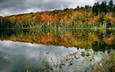 деревья, вода, озеро, лес, отражение, осень