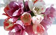 весна, букет, тюльпан, 8 марта