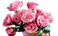 цветы, листья, розы, лепестки, букет, розовые