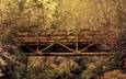 лес, листья, мост, осень, южная каролина