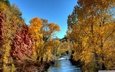 небо, деревья, река, природа, осень, желтые листья
