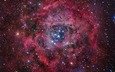 звезды, туманность, rosette nebula
