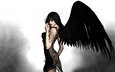 крылья, черный, ангел, фчя64