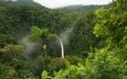 природа, зелень, водопад, пальмы, тропики, джунгли, заповедник, тропический лес
