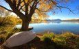 озеро, дерево, осень, лодка