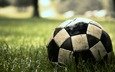 трава, зеленая, мяч, интересно, футбольный