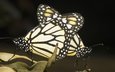 бабочка, крылья, темный фон, бабочки, монарх, насекомы