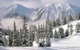 горы, снег, природа, зима, ели, альпы
