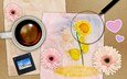 цветы, рисунок, кофе, подсолнух, чашка, лупа, сердечки, герберы