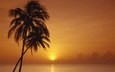 солнце, закат, море, горизонт, пальмы