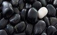 камни, галька, макро, белый, чёрные, не такой как все