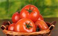 еда, красные, овощи, помидоры, томат, помидоры в корзинке