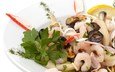 зелень, оливки, из, салат, морепродукты, креветки, мидии, кальмары, морепродуктов