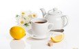 цветы, лимон, ромашки, белый фон, чашка, чай, чайник, сахар, ложка
