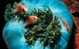 рыбки, океан, подводный мир, рыба-клоун, pink anemonefish, актинии