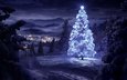 новый год, елка, лес, зима, праздник, рождество, зимний, новогодняя, в лесу