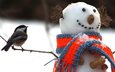 снег, новый год, орехи, зима, снеговик, птица, арахис, синица, шарф, веточки