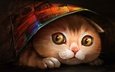 морда, арт, рисунок, кошка, покрывало, прячется, кошка под ковриком, ryuuka nagare