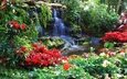 цветы, зелень, пейзаж, парк, лето, водопад, сад