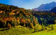 небо, деревья, горы, холмы, зелень, лес, пейзаж, осень, австрия, тироль, карвендель