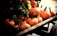 осень, урожай, овощи, тыква, телега