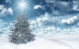 небо, свет, облака, солнце, снег, новый год, зима, ель, праздник