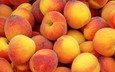 фрукты, много, персики, спелые, сочные, сладкие, вкусные