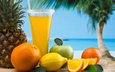 небо, море, песок, фрукты, бокал, лимон, пальма, апельсин, яблоко, трубочка, ананас, сок, аппетитно