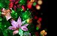 цветы, огни, новый год, елка, шары, блики, праздник, елочные украшения, огоньки, гирлянда, елочные, с новым годом, боке, 2013, бантики