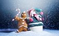снег, новый год, макро, снеговик, игрушки, праздник, печенька, с новым годом, 2013, сувениры, пряник
