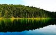 озеро, природа, лес, отражение леса и неба