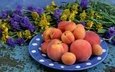 цветы, фрукты, персики, тарелка, абрикосы, букет цветок