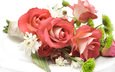 цветы, розы,  цветы, cvety, cvetok, rozy, krasivye, bukety, svadebnye, букет свадебный