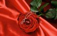 цветок, роза, ткань, кольцо, сердечки, кулон, цепочка, cvetok, roza, krasnaya, romantika, kolco, lyubov, podves, роза и кулон с сердечком