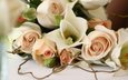 цветы, бутоны, розы, романтика, букет, свадьба, красиво, cvety, krasivo, rozy, svadba, romantika