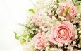 цветы, розы, букет, лилии, cvety, belye, rozy, buket, lilii, розовые розы, rozovye rozy, белые лилии