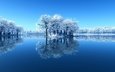 небо, деревья, вода, озеро, снег, зима, отражение, иней, остров